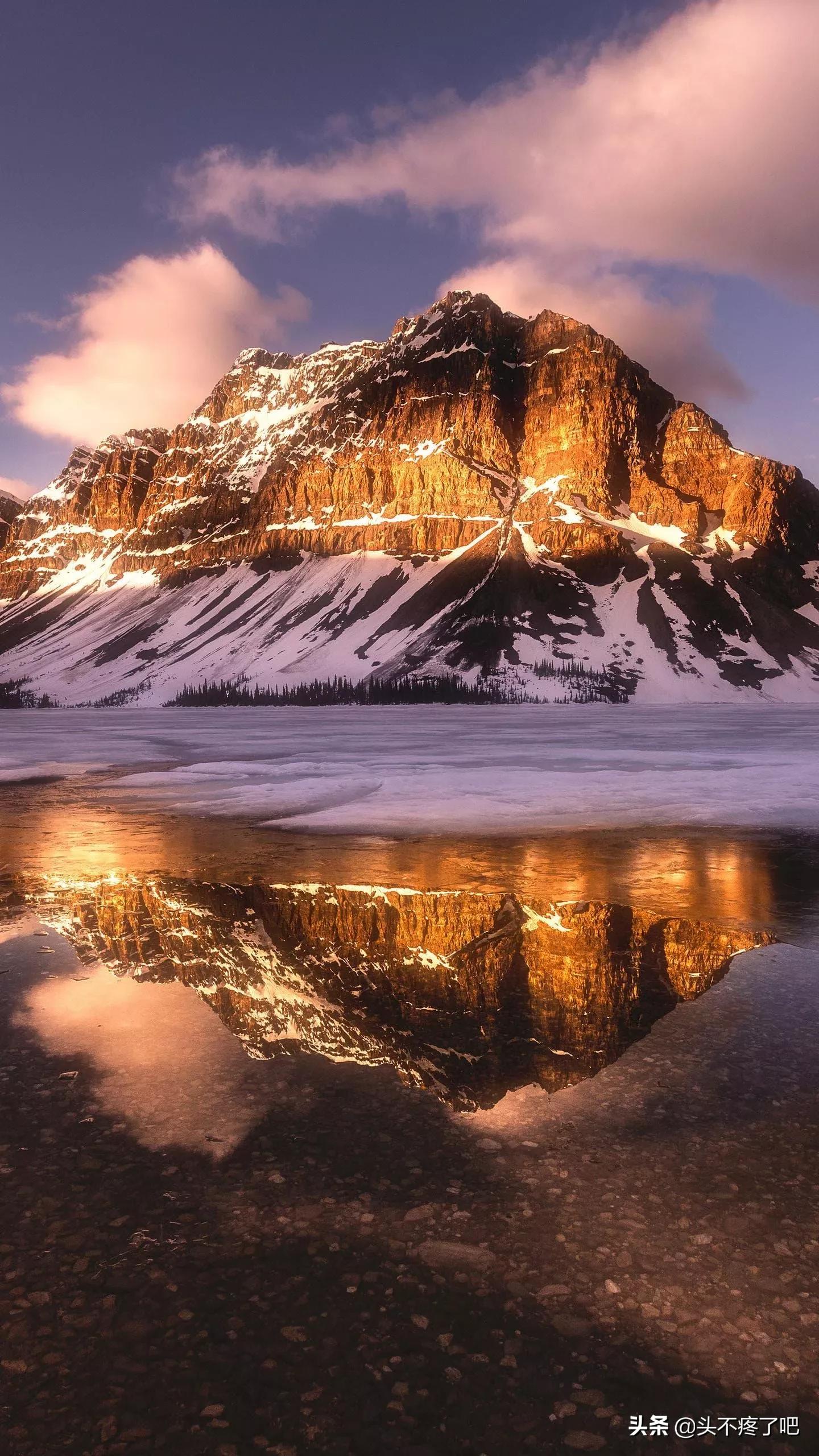 河道现大量成扎钞票,竞标河道采砂权大概要多少钱？年采1-3万方左右的？