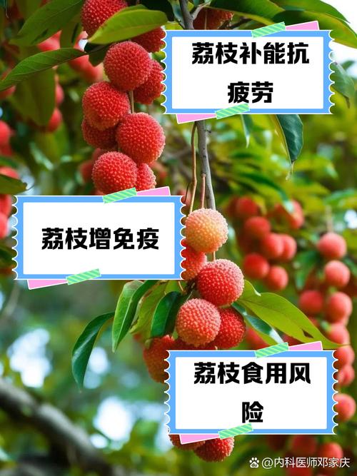 空腹吃荔枝得荔枝病,空腹吃荔枝真的会死亡吗?有什么科学依据吗?