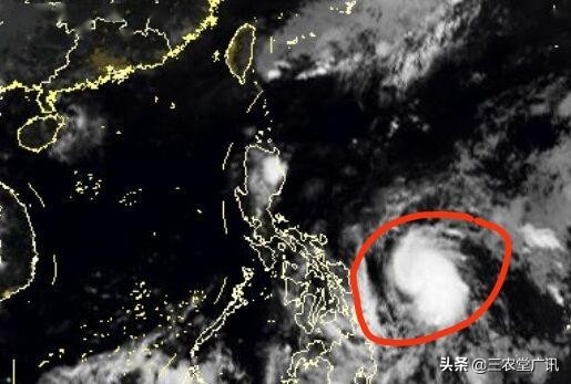 台风蝴蝶广东再登陆,台湾的蝴蝶有多少只? 台风蝴蝶广东再登陆,台湾的蝴蝶有多少只?