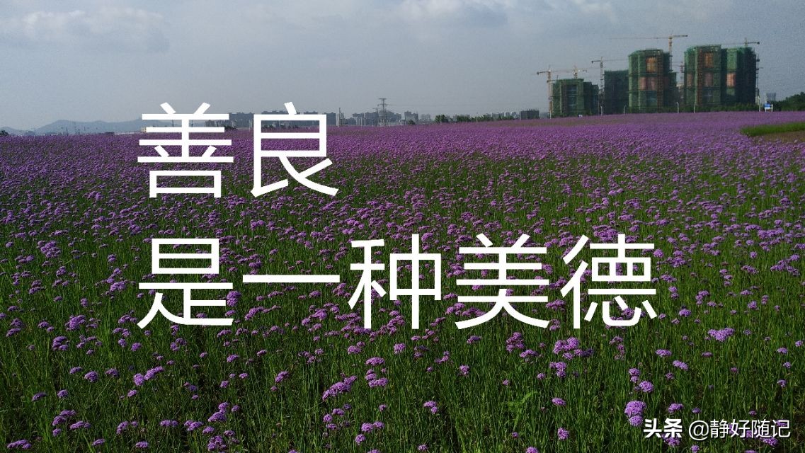 韩红发飙骂选手自私,为什么人们一边觉得人们的善良没了，自己却很自私只图自己开心？