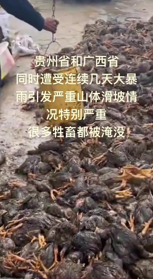 广西山体滑坡致3死,2020年12.3日发生了什么?