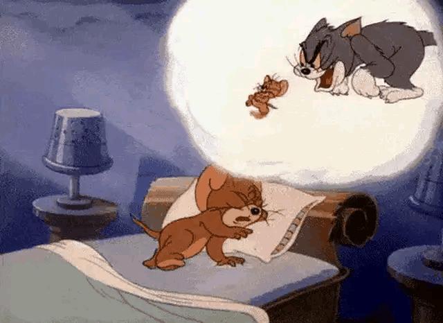 印度直升机坠毁7死,印度直升机坠落