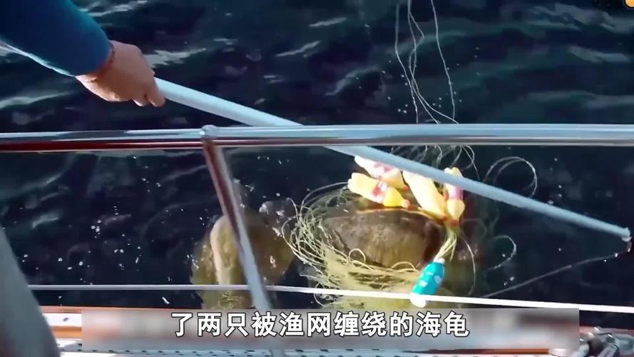 8岁男孩失联40多天,大连:父子俩出海下网捕鱼,40多岁的儿子不慎被渔网缠住失踪, 你怎么看?