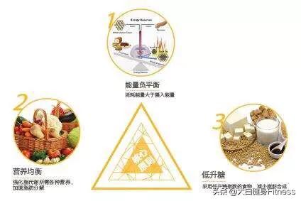 让体脂率下降的习惯,让体脂率降到10的饮食和训练方法 让体脂率下降的习惯,让体脂率降到10的饮食和训练方法