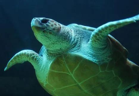 企业中毒事故7死4伤,企业中毒事故7死4伤赔偿标准 企业中毒事故7死4伤,企业中毒事故7死4伤赔偿标准