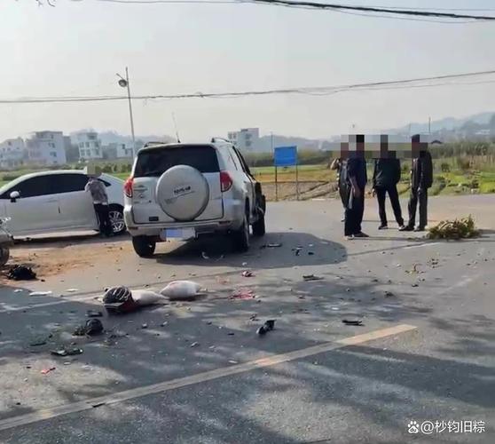 广西高速迎客松被砍,广西一高速发生事故