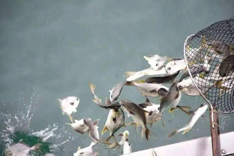 男子意外钓到鳄鱼,重生模拟器钓鱼怎么钓到鳄鱼?