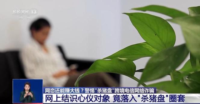 央视曝杀猪盘新套路,新型网络诈骗“杀猪盘”,有希望追回吗?