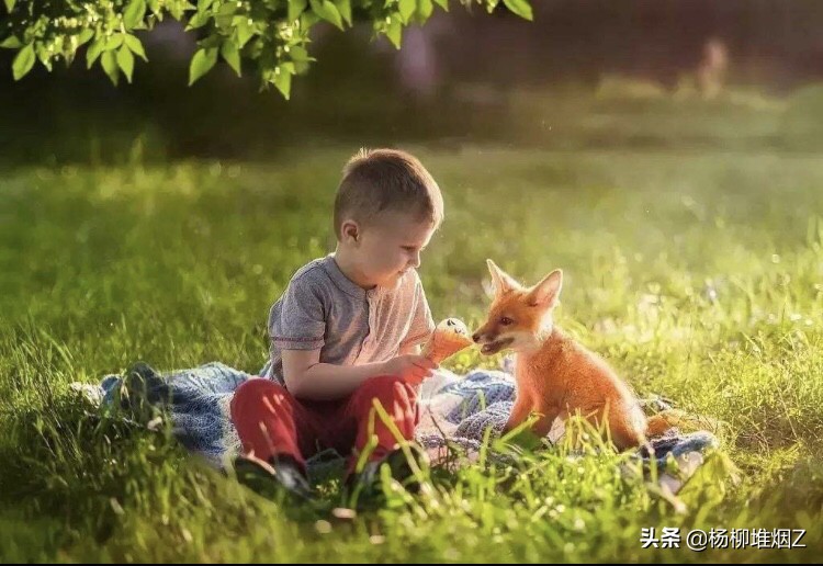 录制综艺迟到12小时,录制综艺迟到12小时怎么办 录制综艺迟到12小时,录制综艺迟到12小时怎么办