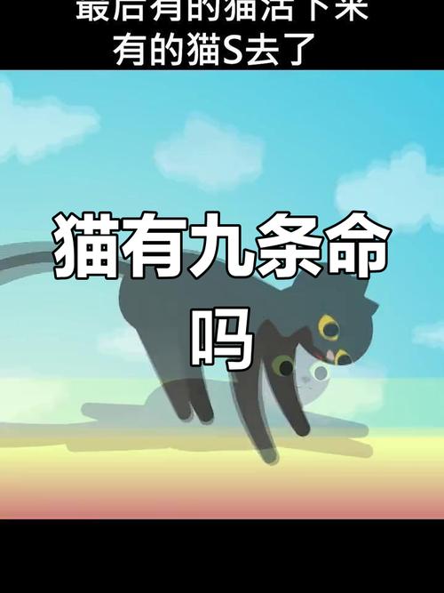 猫咪从16楼意外坠落,猫咪16岁相当于人几岁?