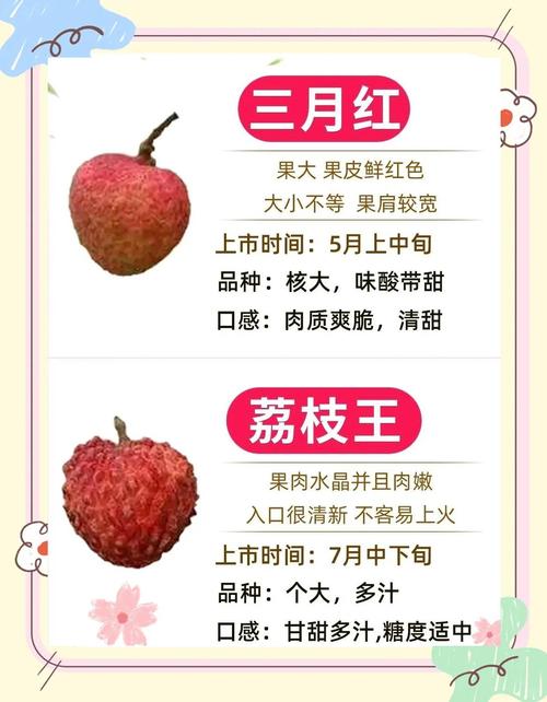 8岁男孩花1万购荔枝,男生买十箱荔枝什么意思?