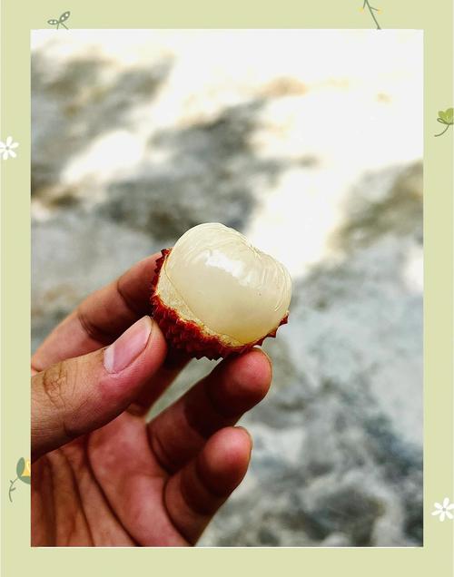 8岁男孩花1万购荔枝,男人买荔枝是什么意思?