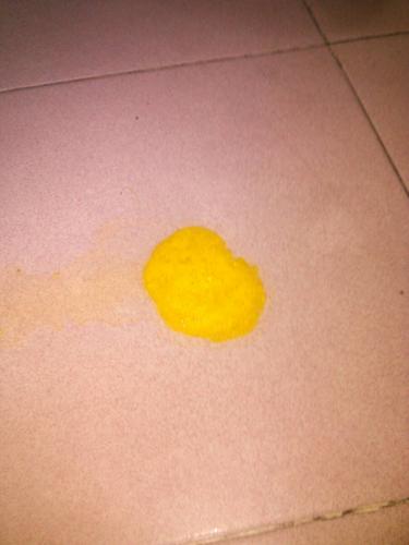 女童呕吐活虫一个月,一个月多大的狗子吐出了白色长条形的活虫是什么原因呀?