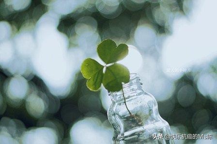 夫妻开饭店都得癌症,家里有两人癌症晚期都是将死之人，这种情况下我是不是不应该过生日？