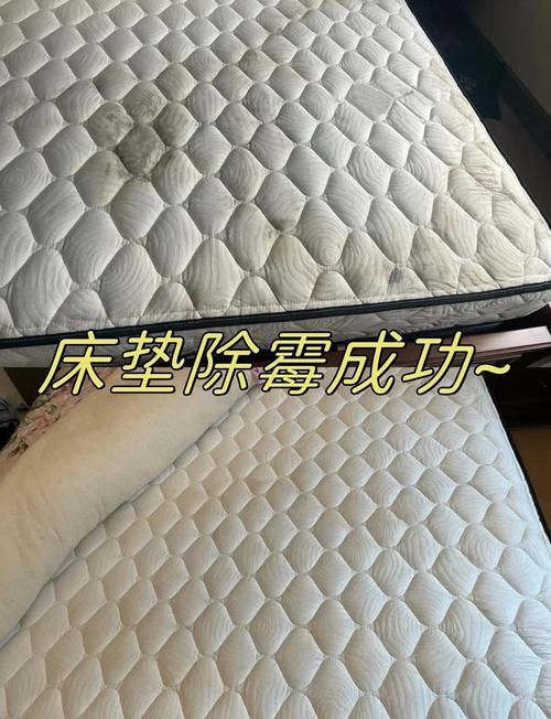 使用10年床垫粉末化,床垫粉化有害吗