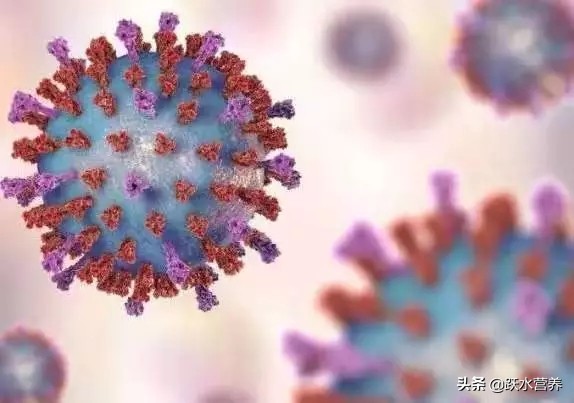 夫妻吃竹鼠确诊肺炎,夫妻吃竹鼠确诊肺炎会传染吗 夫妻吃竹鼠确诊肺炎,夫妻吃竹鼠确诊肺炎会传染吗