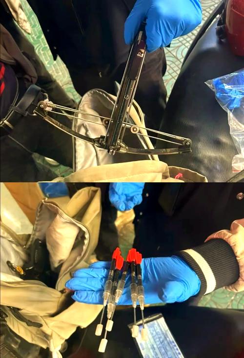 爱犬被射毒针致死,射杀狗的毒针有没有