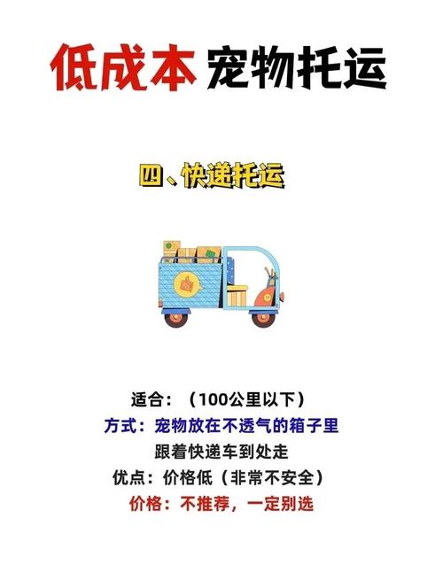 中国小猫被运到美国,9月初要去美国读书,国内也没法直飞去那边,猫咪托运找tb要一万五一只,太贵了,有别的办法吗?
