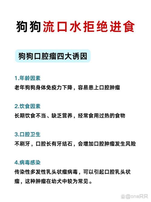 误吞勺子半年后发现,狗狗不小心吃了塑料勺子怎么办?