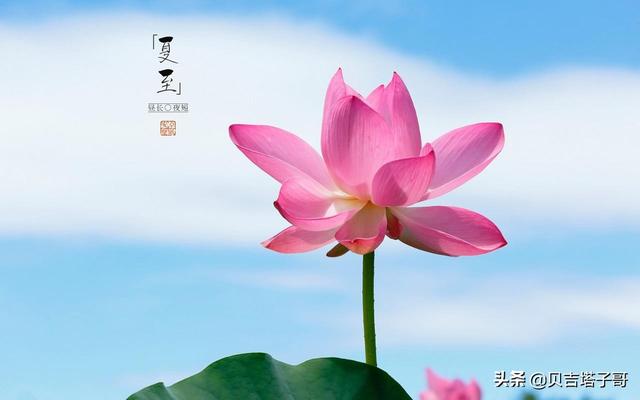 今天白天一年最长,一年中白天最长是哪天？