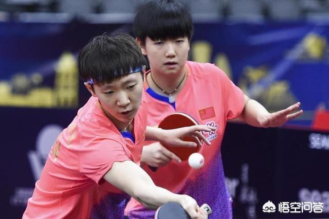 制止乱喊乱叫遭群殴,小猫坐立不安乱喊乱叫钻被子？