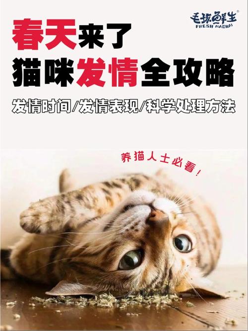 制止乱喊乱叫遭群殴,有哪位高人能介绍几首乱喊乱叫的而且好听点的歌?