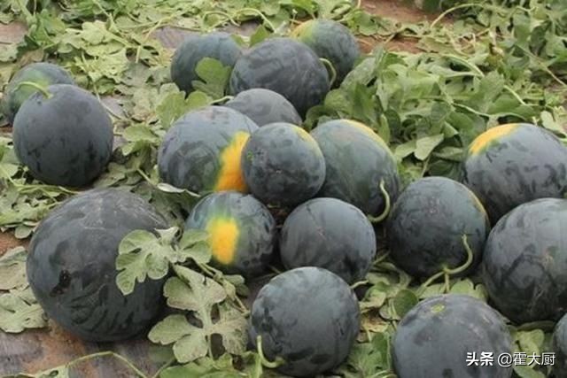 黑皮西瓜一只3.4万,黑拳王西瓜品种？