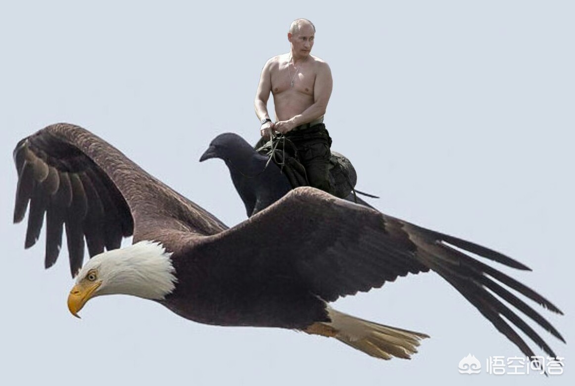 以色列关闭领空,叙利亚战机入侵以色列领空被击落,叙军为何要冒这样的风险? 以色列关闭领空,叙利亚战机入侵以色列领空被击落,叙军为何要冒这样的风险?