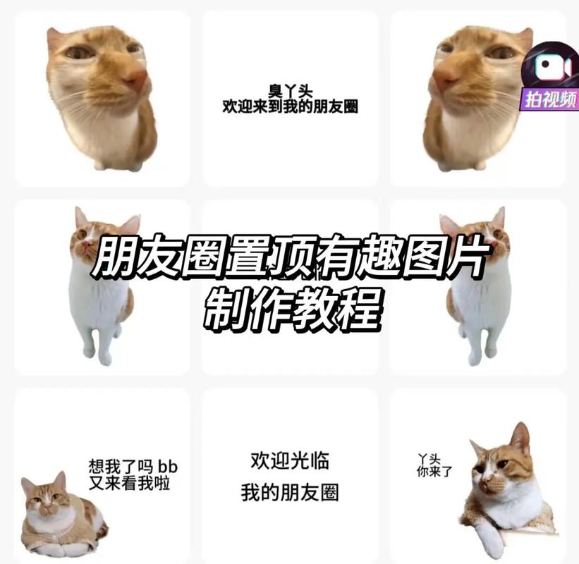 朋友圈评论支持图片,如何把照片放到朋友圈评论中?