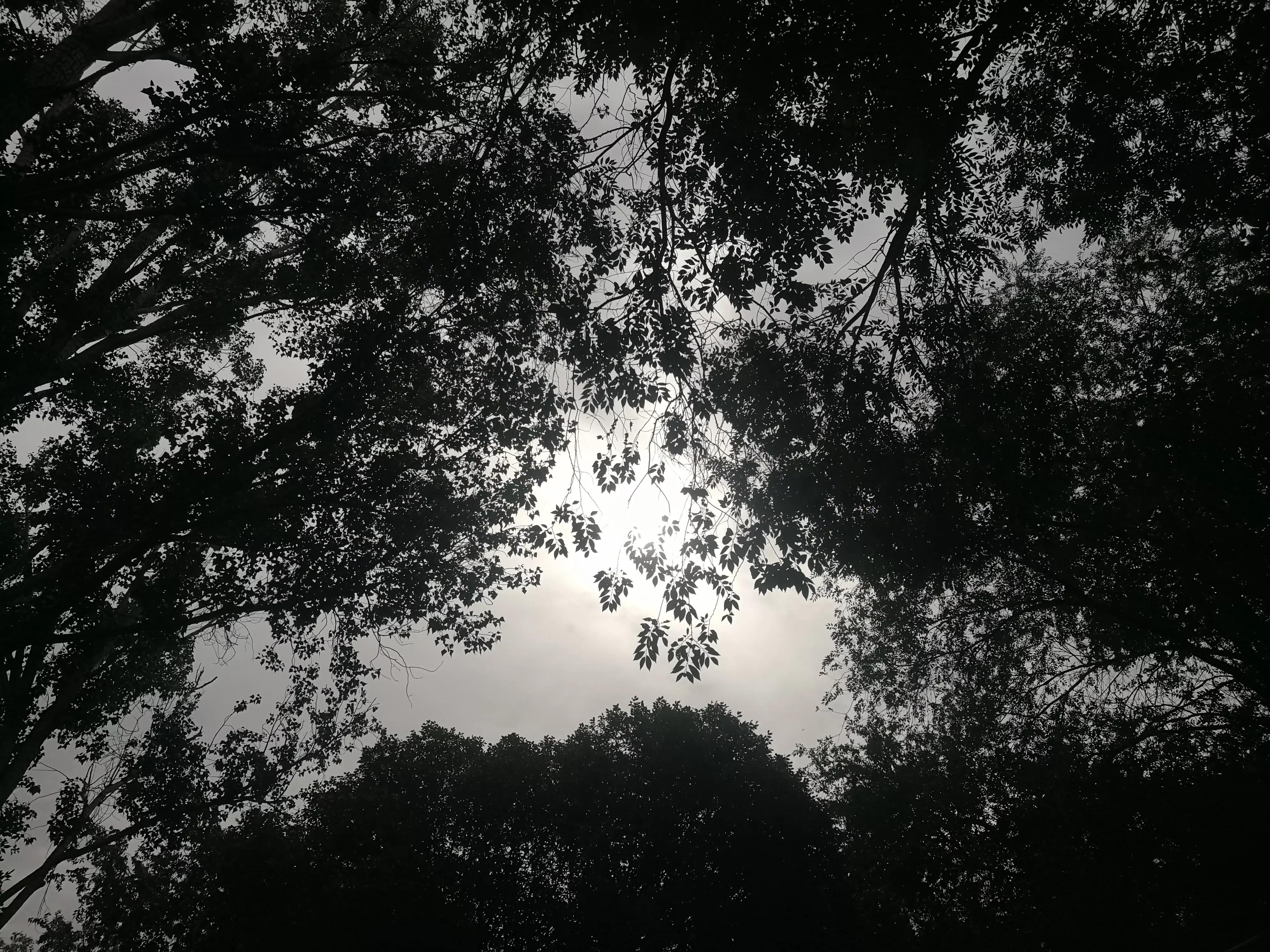 多地气温突破40℃,热哭!西安多地气温超40℃,雨呢? 多地气温突破40℃,热哭!西安多地气温超40℃,雨呢?