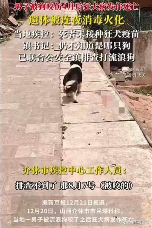 被狗咬3个月后去世,湖州6岁男孩被狗咬得了狂犬病,为何注射狂犬疫苗后还是去世了?