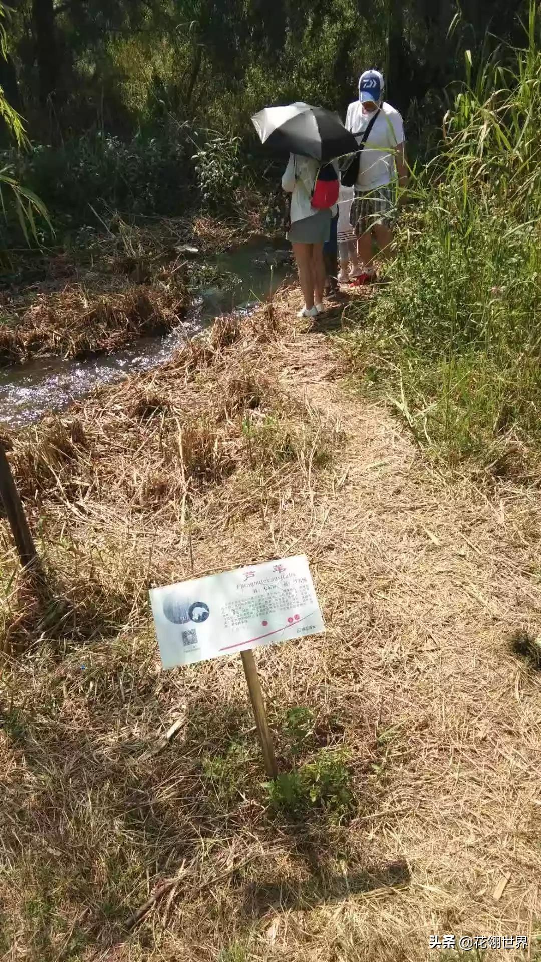 男子公海上刺死同事,对方犯错，本人对其家人进行短信威胁，说要杀死他全家，是否构成犯罪？