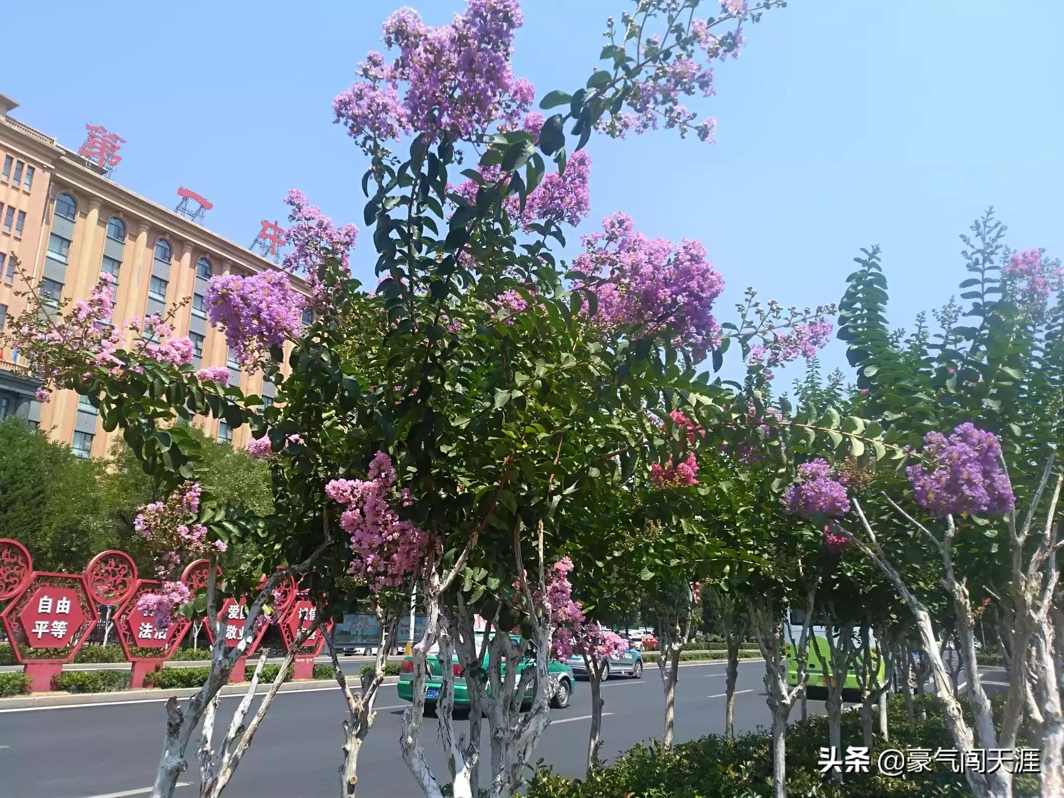 山洪失联者增至5人,最新消息!温州山洪失联消防员周锦勇遗体被发现, 你怎么看? 山洪失联者增至5人,最新消息!温州山洪失联消防员周锦勇遗体被发现, 你怎么看?