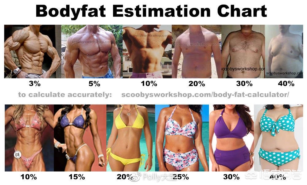 体重开始下降冷知识,体重下降冷知识揭秘 体重开始下降冷知识,体重下降冷知识揭秘