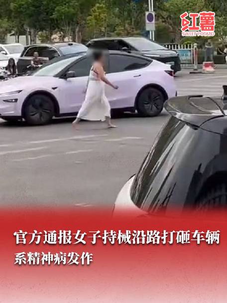 通报持械打砸车辆案,通报持械打砸车辆案件