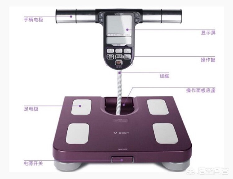 让体脂下降的小方法,降低体脂率的方法? 让体脂下降的小方法,降低体脂率的方法?