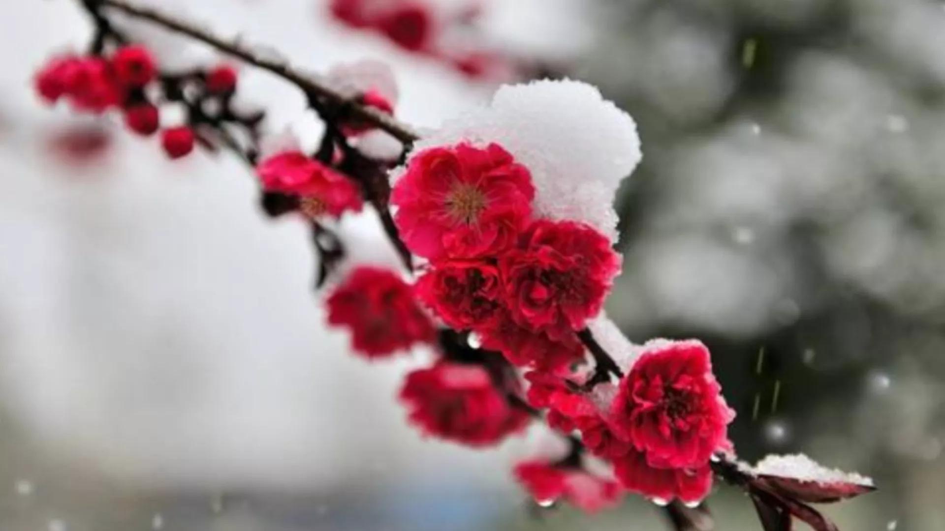 41岁男演员送外卖,41岁女人送外卖丟人吗? 41岁男演员送外卖,41岁女人送外卖丟人吗?