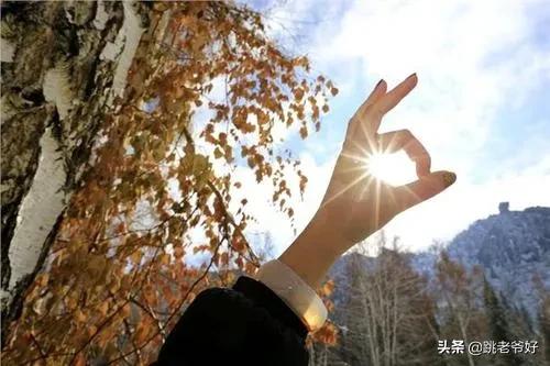 丈夫打赏主播1600万,丈夫打赏主播1600万妻子追讨败诉