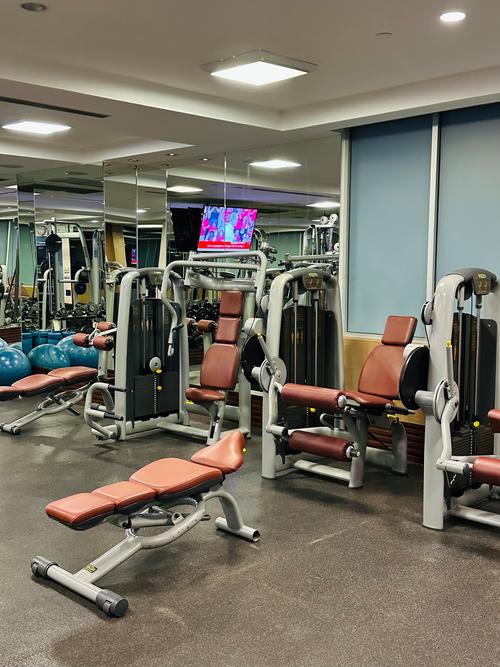 健身房有多脏,健身房有多脏英文