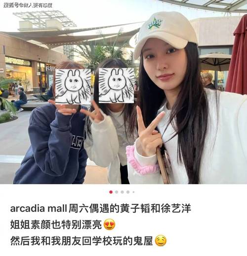 曝黄子韬徐艺洋孩子,徐艺洋参加过萌探探案吗?