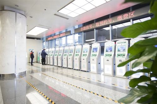 13岁女孩怀孕就诊,13岁小朋友看病怎么预约挂号?