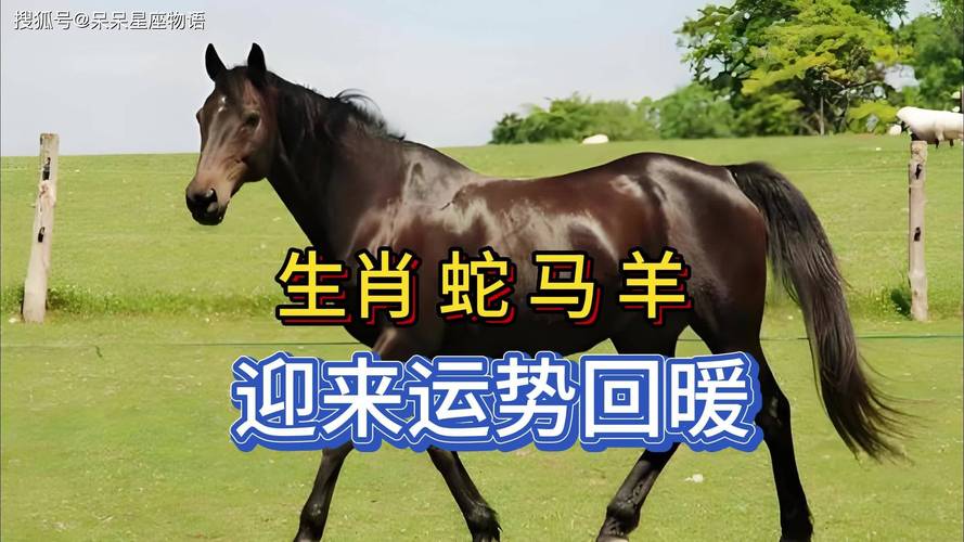 70斤蟒蛇生吞30斤羊,马来西亚一条180公斤的蟒蛇吞掉两只羊,真的有这么大的蛇?