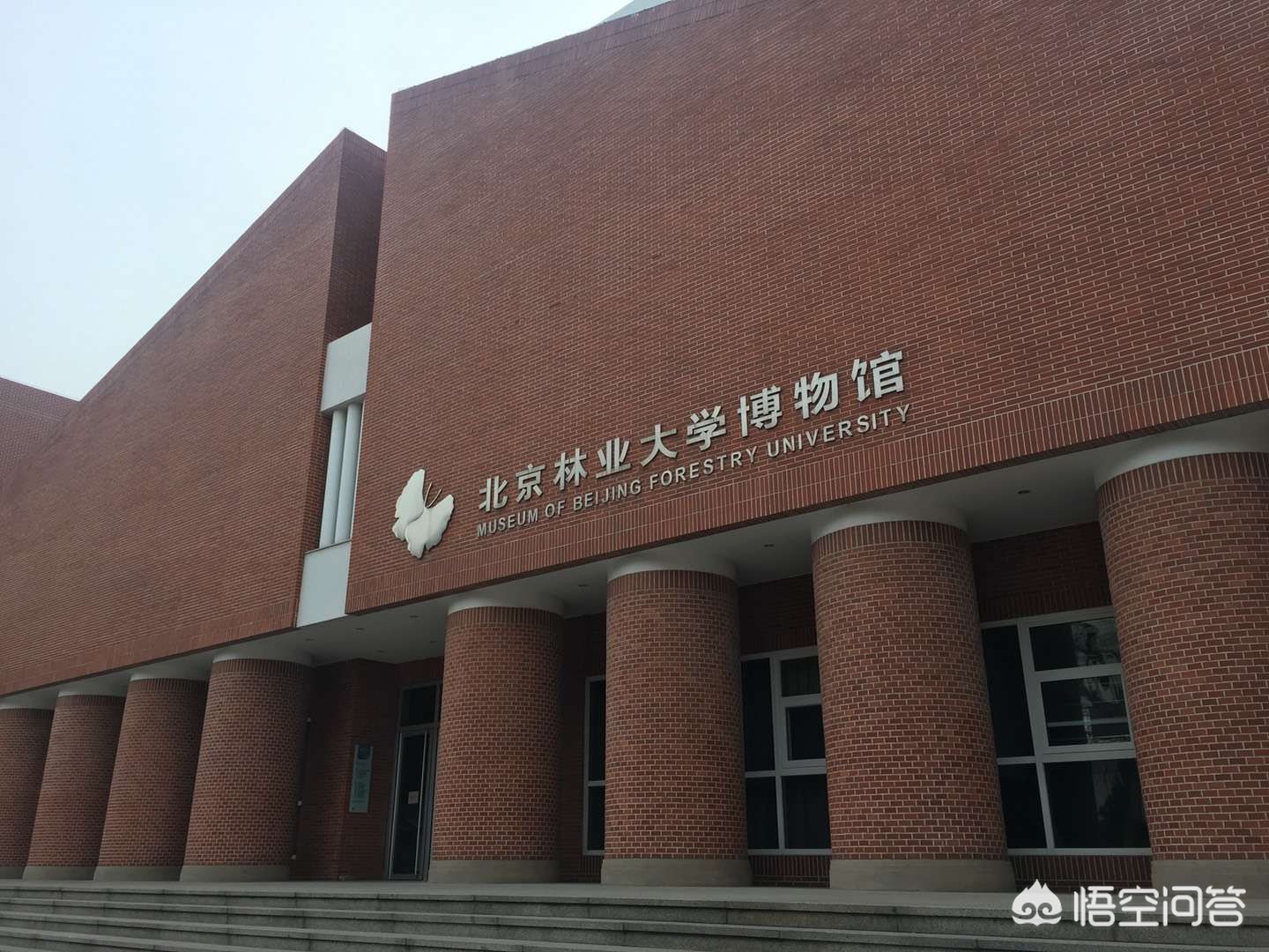 高考志愿付费超10亿,掌上高考和夸克志愿填报谁靠谱？