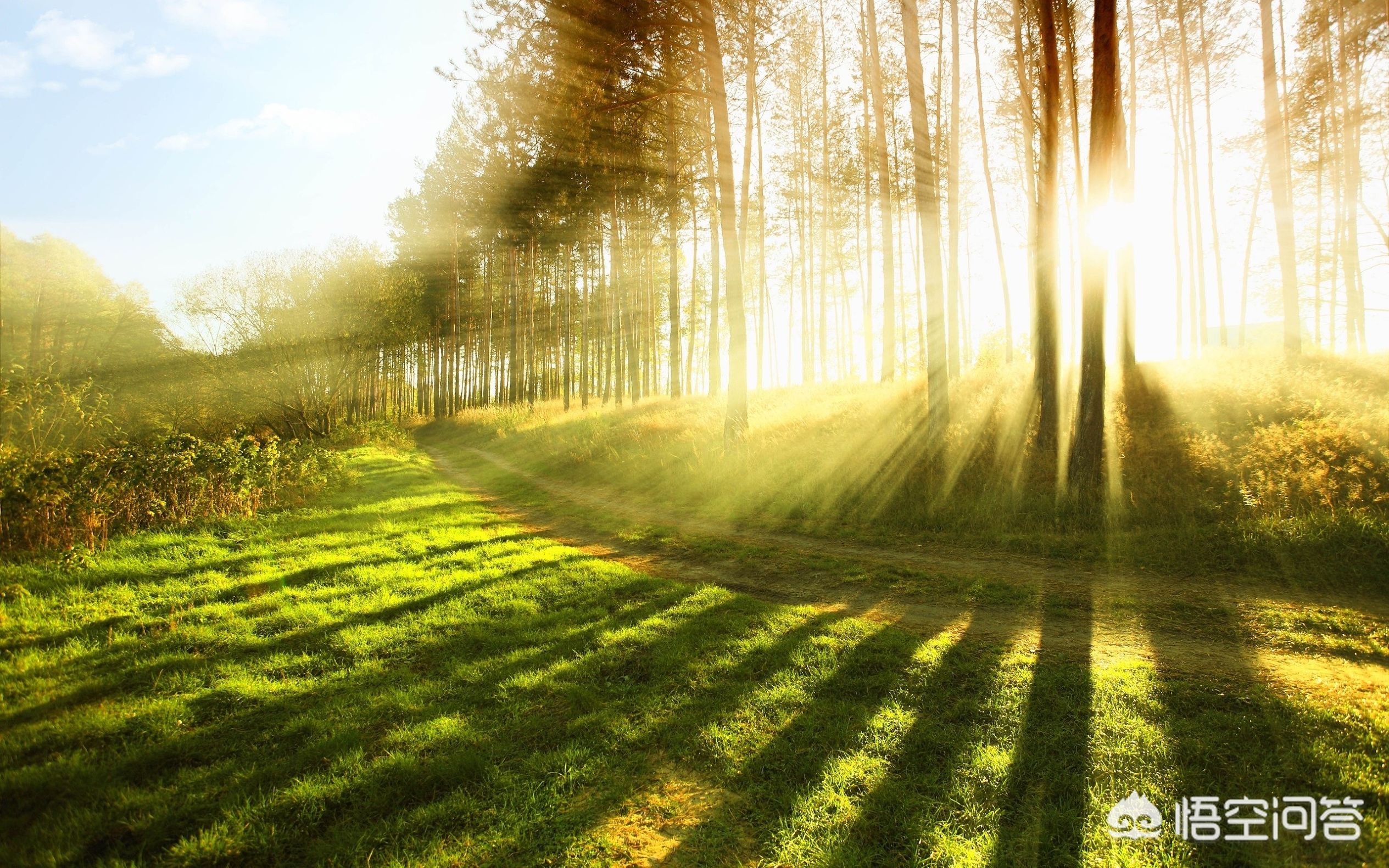 解暑药你用对了吗,如何正确使用夏日解暑药？