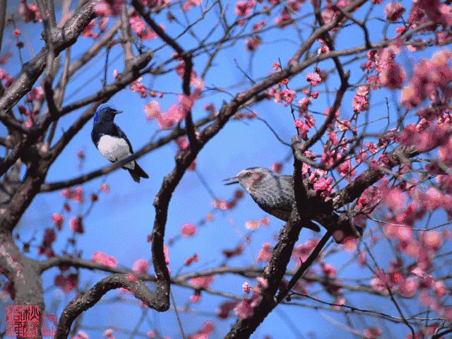 志愿规划师月薪1.2万,高考志愿规划师证书国家承认吗？