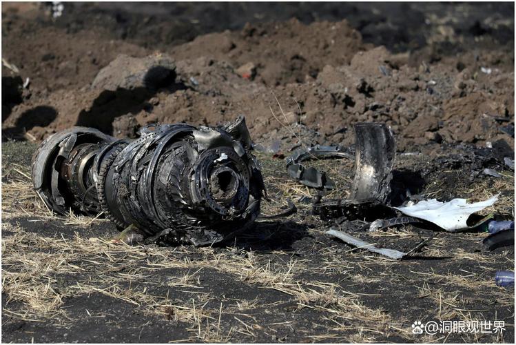 航班因故障暂停起降,不是已经暂停国际航班了吗?怎么会有欧洲的病株在北京发现?