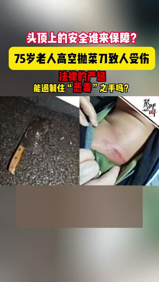 高空抛2菜刀险砸人,高空抛菜刀 女子