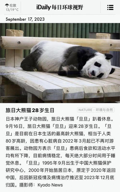 最长寿熊猫35岁生日,最长寿大熊猫叫什么名字?