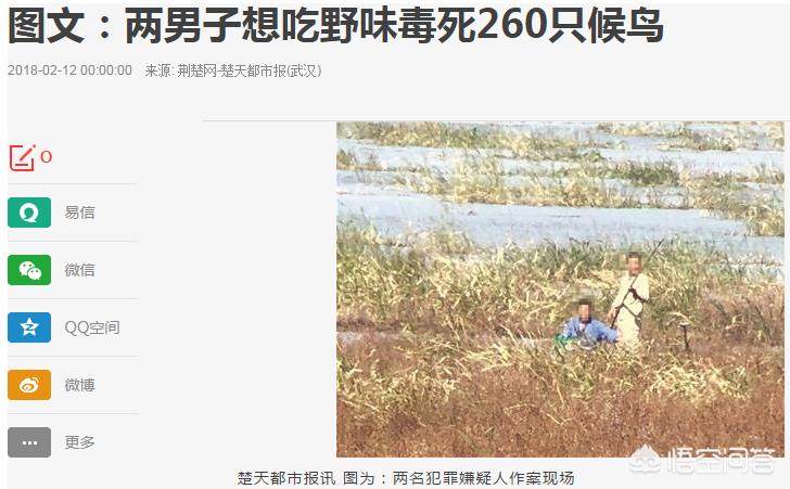 毒杀女模嫌犯自首,武汉两男子想吃野味毒死260只候鸟,迫于压力自首,对此你怎么看? 毒杀女模嫌犯自首,武汉两男子想吃野味毒死260只候鸟,迫于压力自首,对此你怎么看?