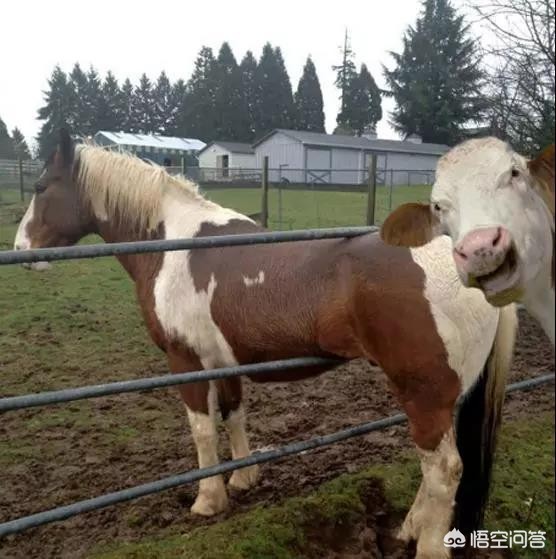 40亿补贴被截留挪用,截留挪用粮食补贴款如何处理？